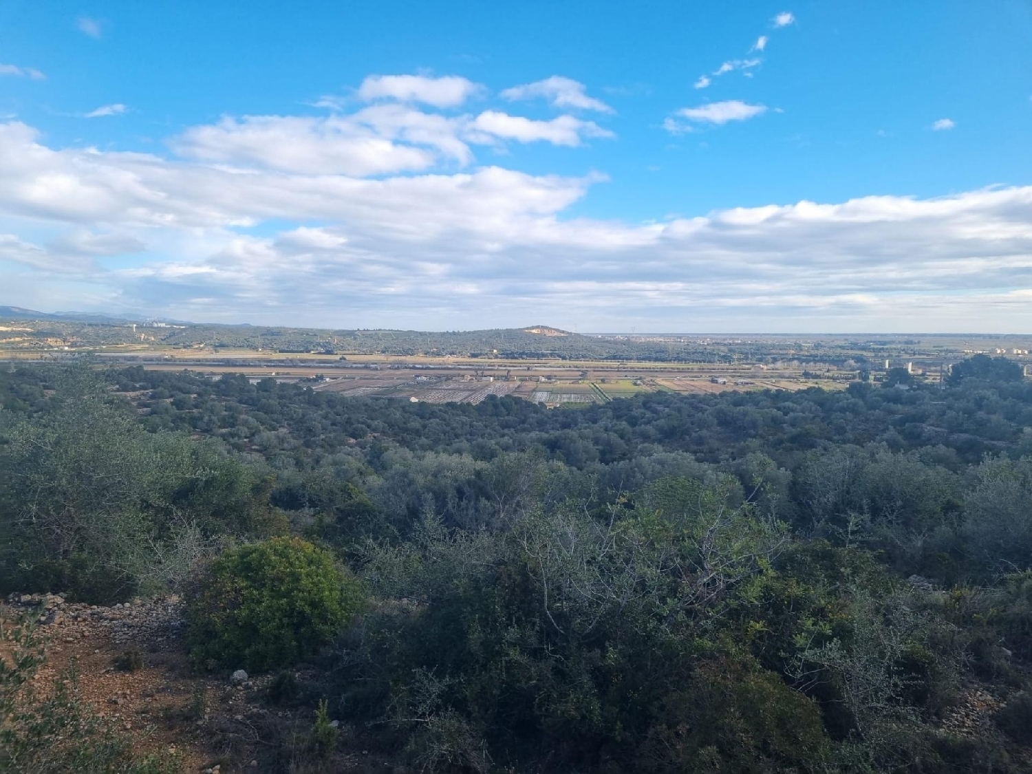  till salu hus Amposta Montsià 4