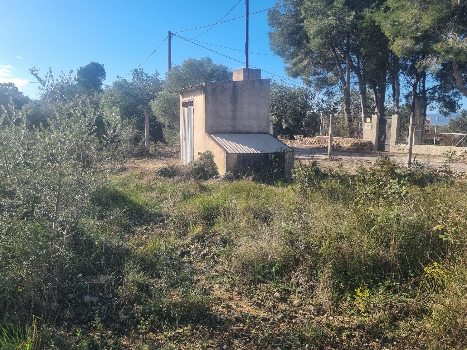  till salu hus Amposta Montsià 7