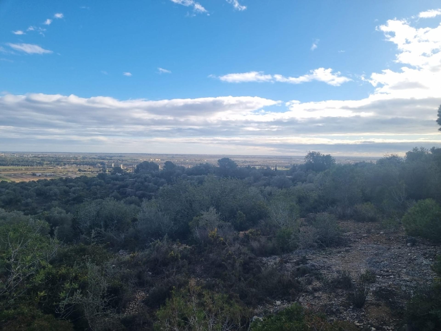  till salu hus Amposta Montsià 5