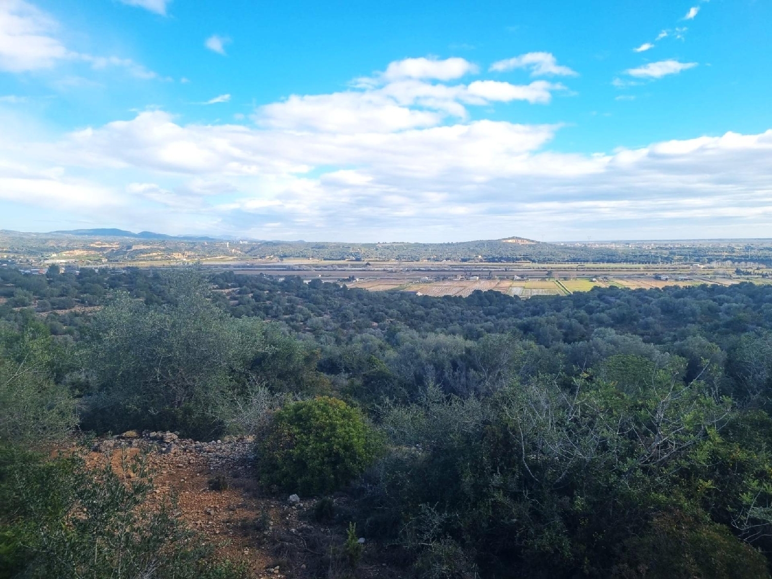  till salu hus Amposta Montsià 3