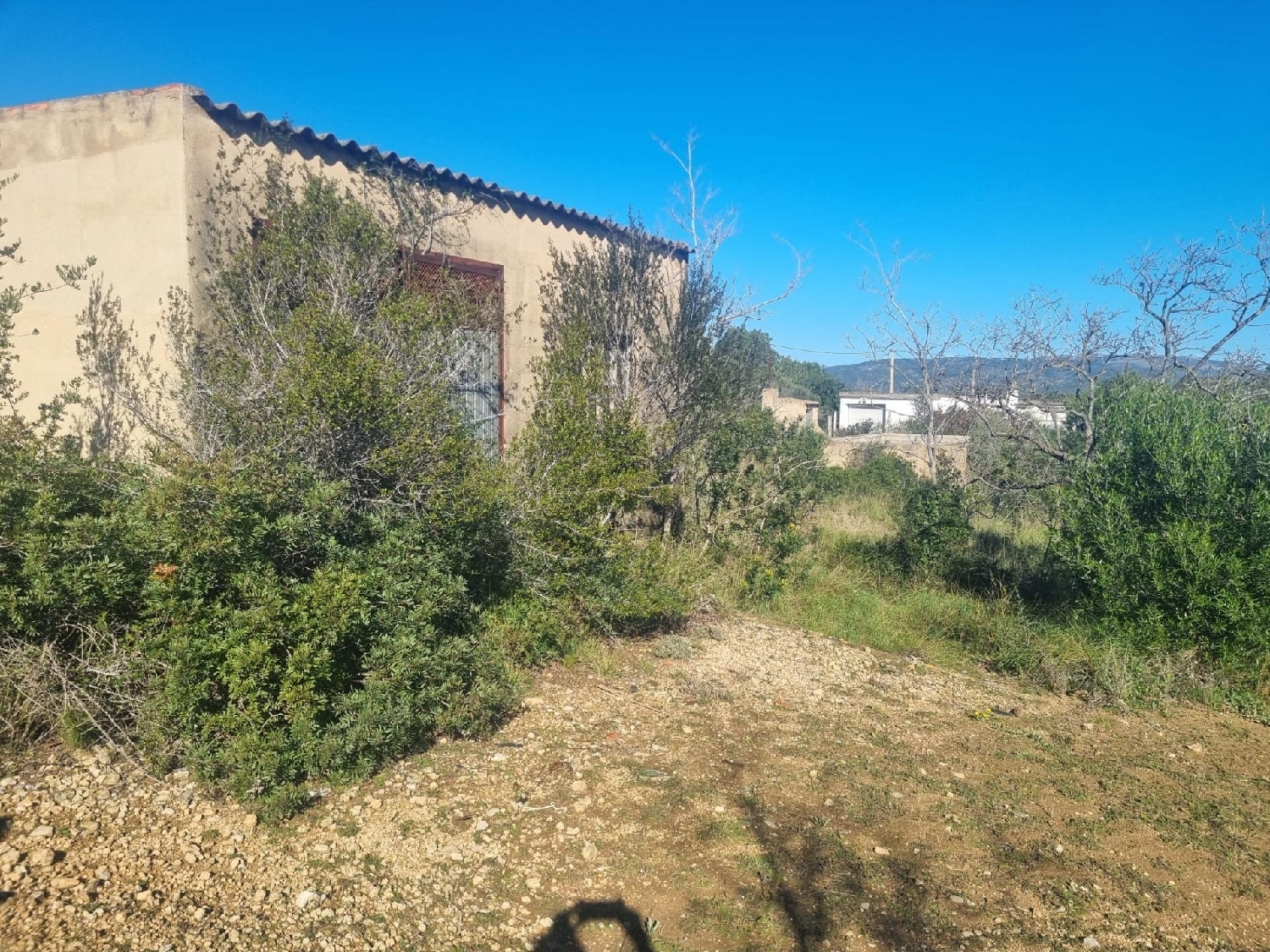  till salu hus Amposta Montsià 6