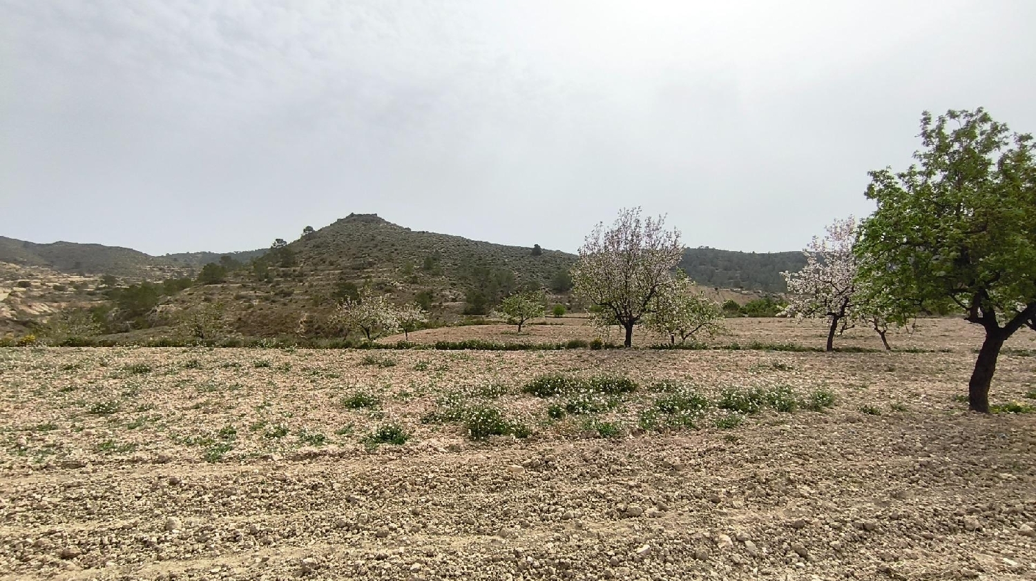  till salu hus Barraca D'aigues Vives Ribera Alta 7