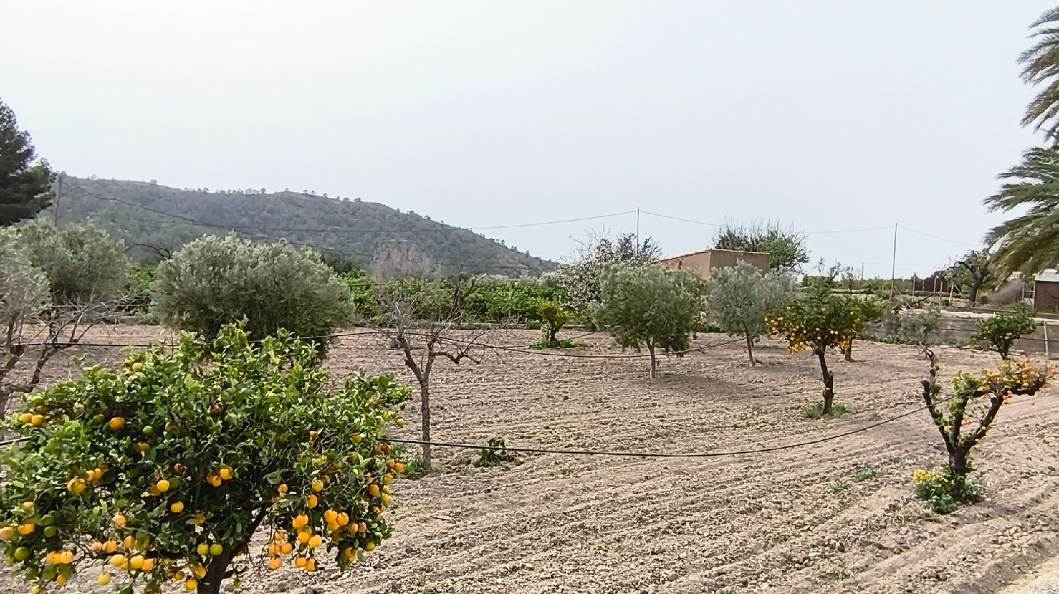  till salu hus Barraca D'aigues Vives Ribera Alta 2