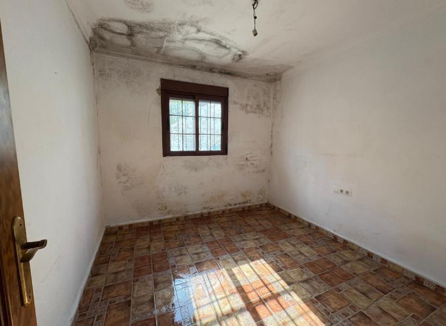  à vendre maison Benalup-Casas Viejas Janda (La) 6