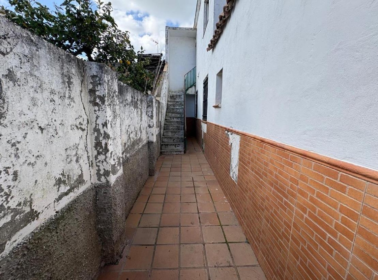  à vendre maison Benalup-Casas Viejas Janda (La) 3