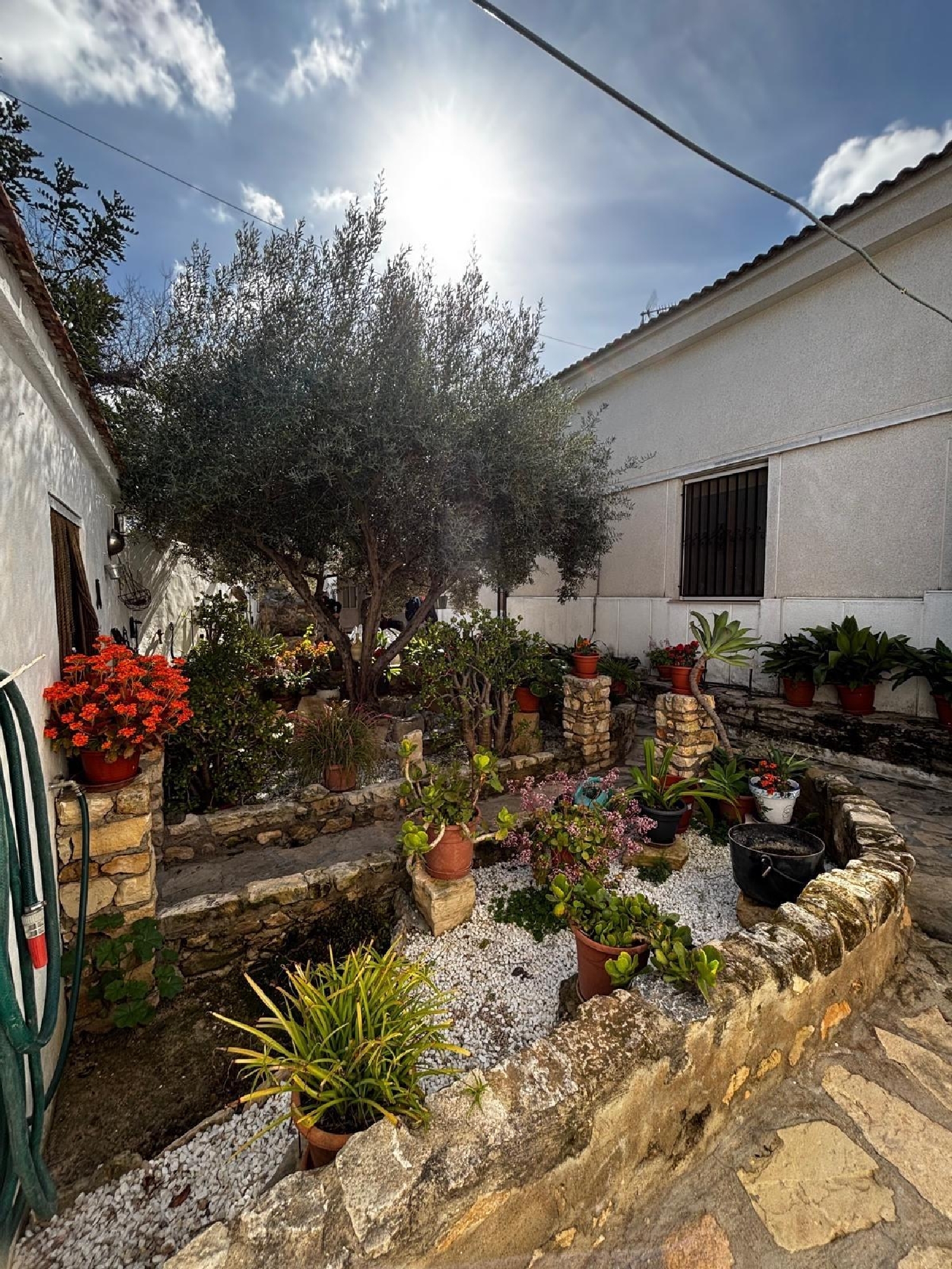 kaufen Haus Benejúzar Baix Segura 4