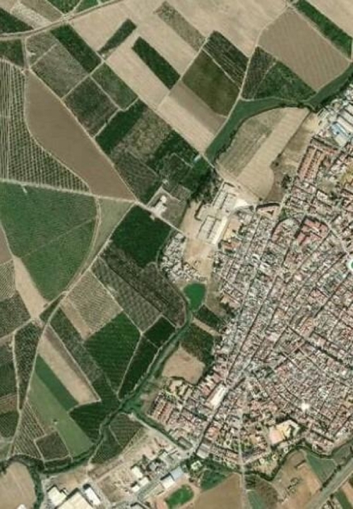 Brenes Vega Del Guadalquivir hus foto 6354044