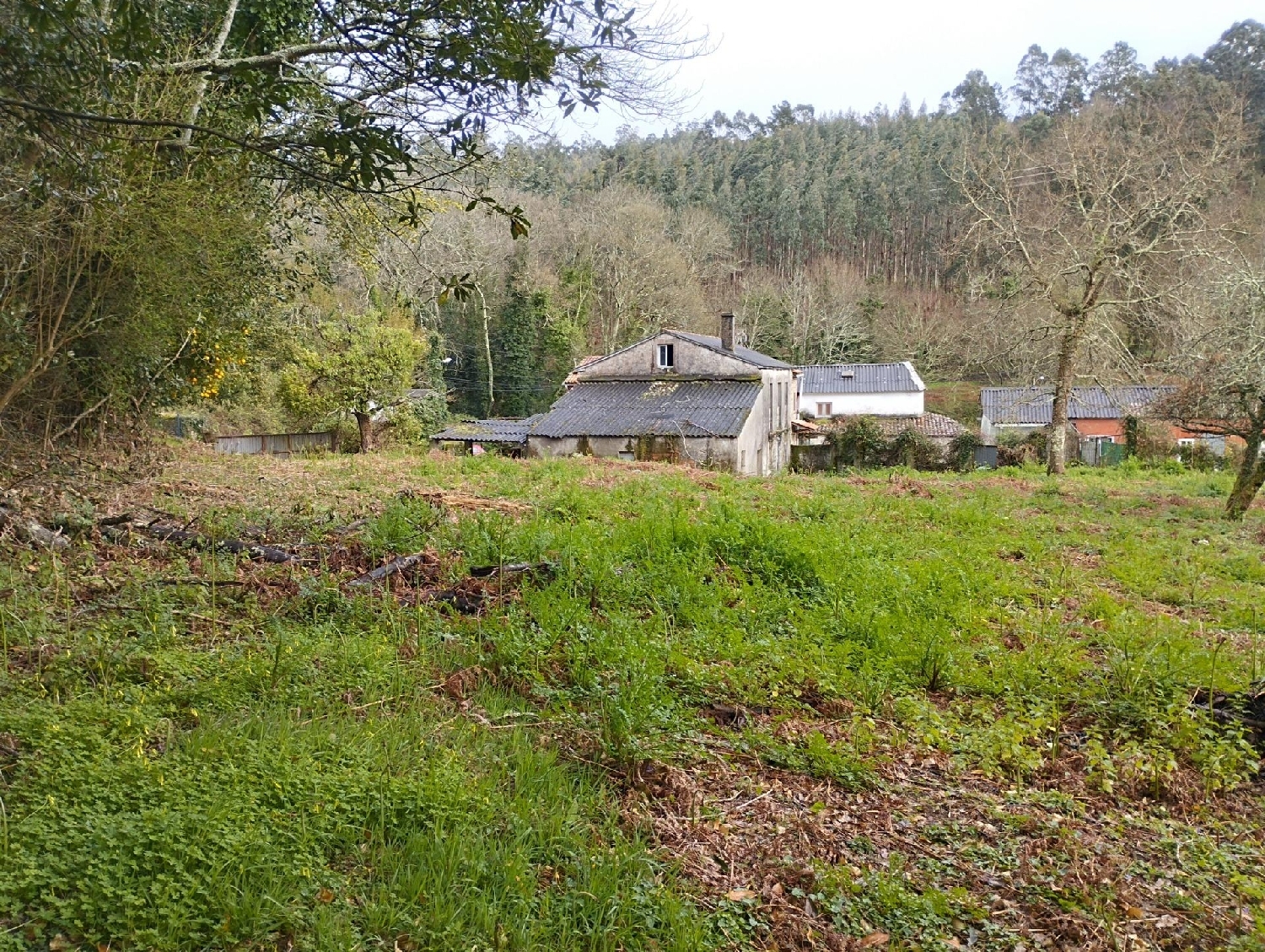 for sale house Cabanas Barcala 6