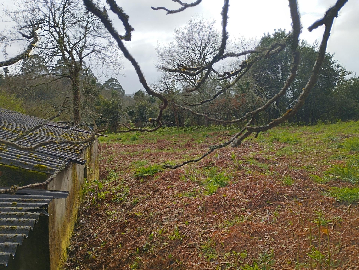 for sale house Cabanas Barcala 7