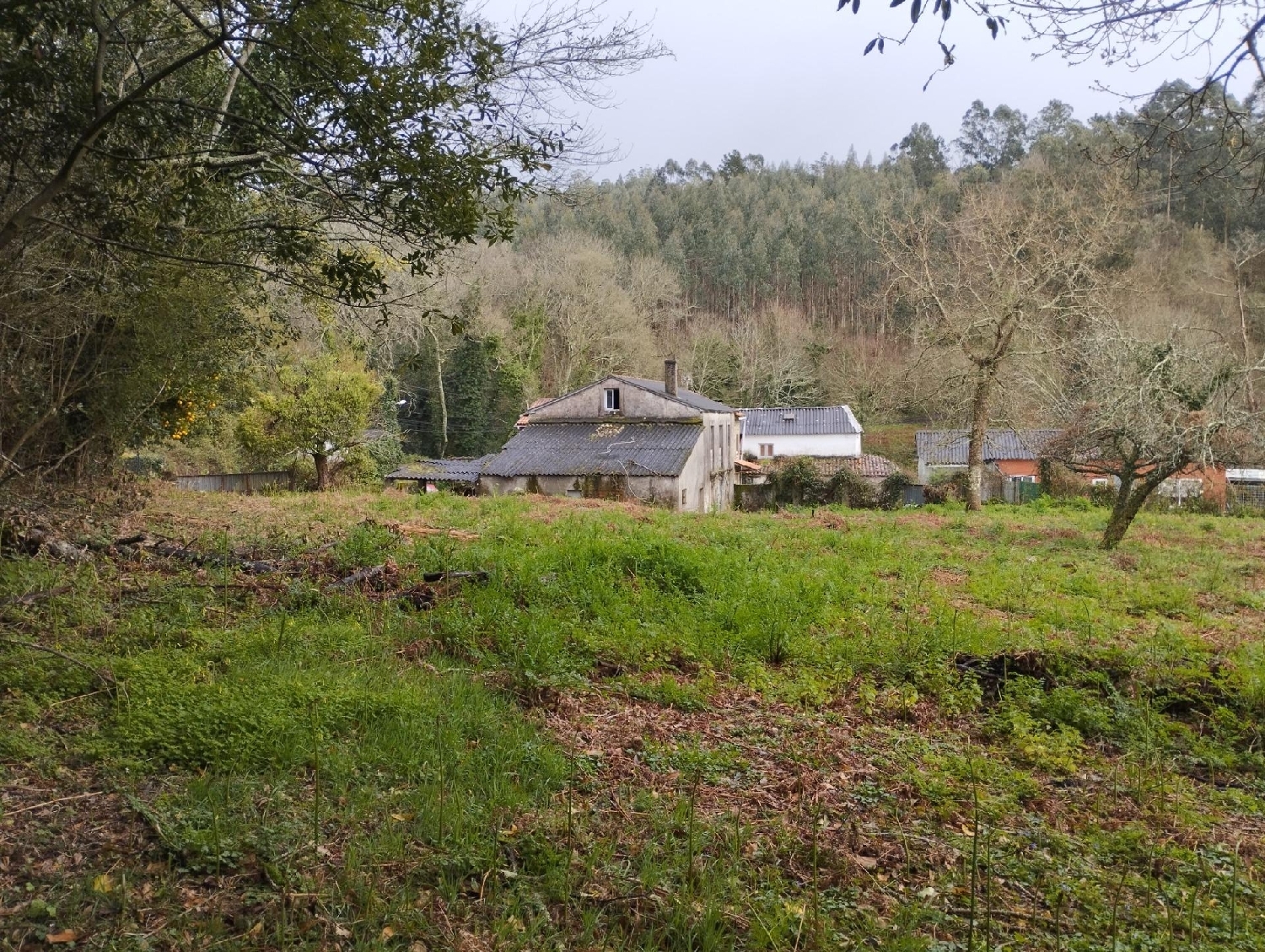 for sale house Cabanas Barcala 1