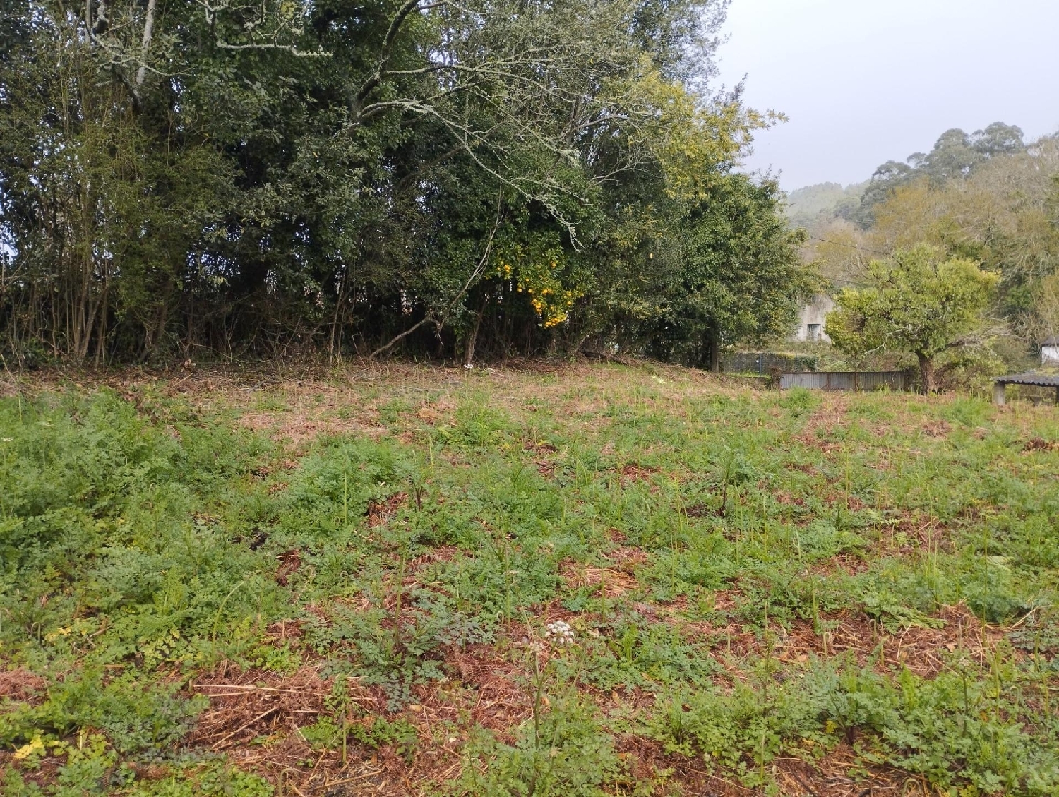 for sale house Cabanas Barcala 8