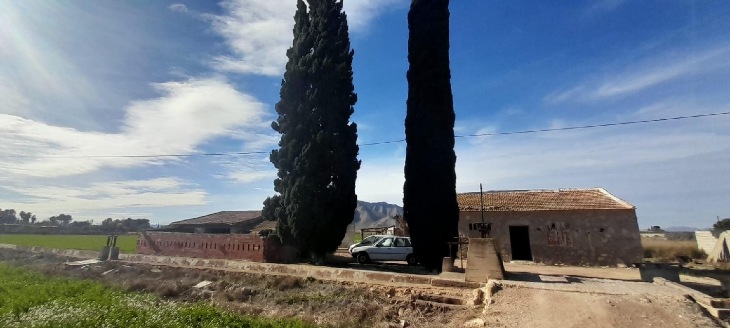  kaufen Haus Callosa De Segura Baix Segura 6