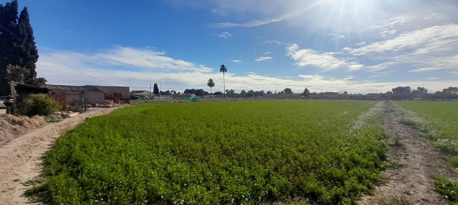  kaufen Haus Callosa De Segura Baix Segura 8