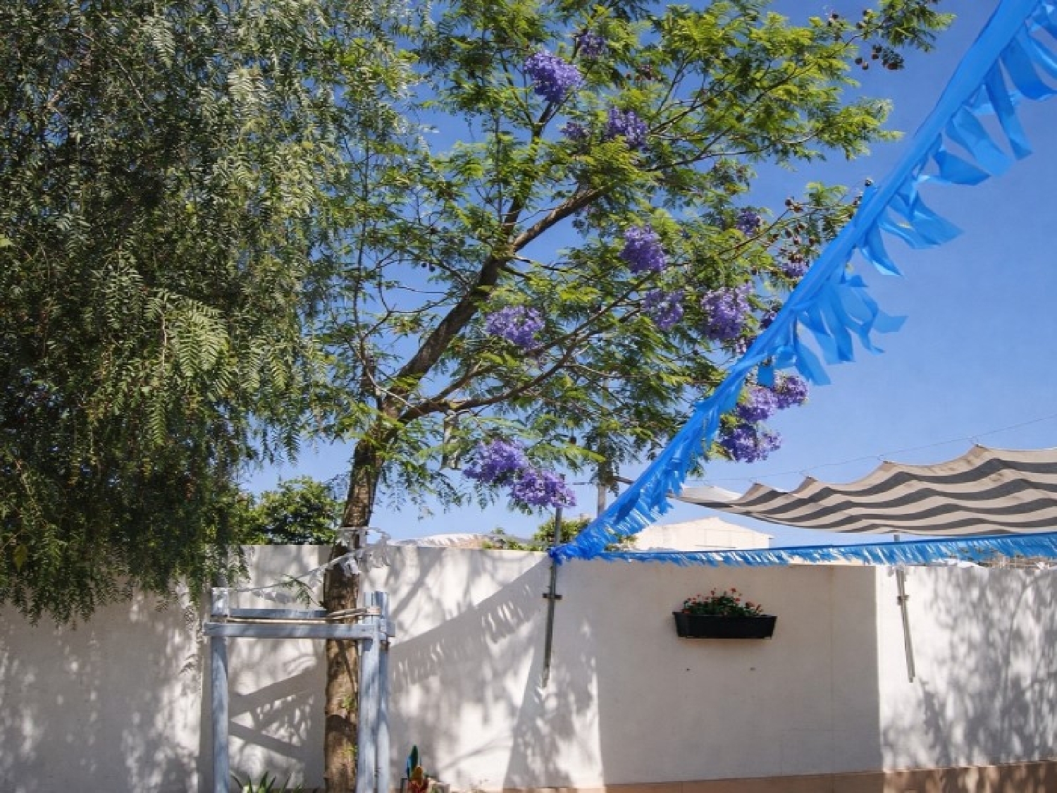  te koop huis Campos Sud 6