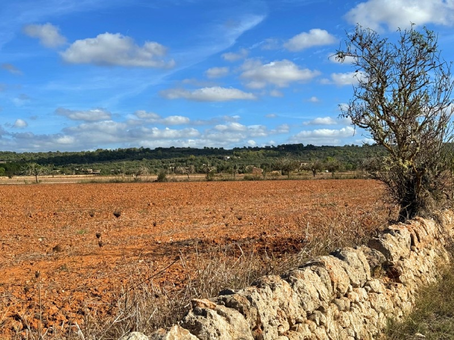  te koop huis Campos Sud 4