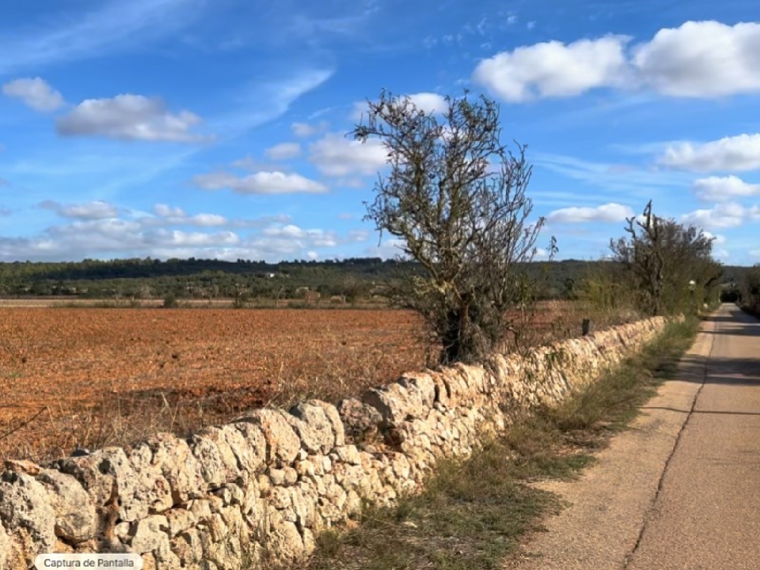  te koop huis Campos Sud 5