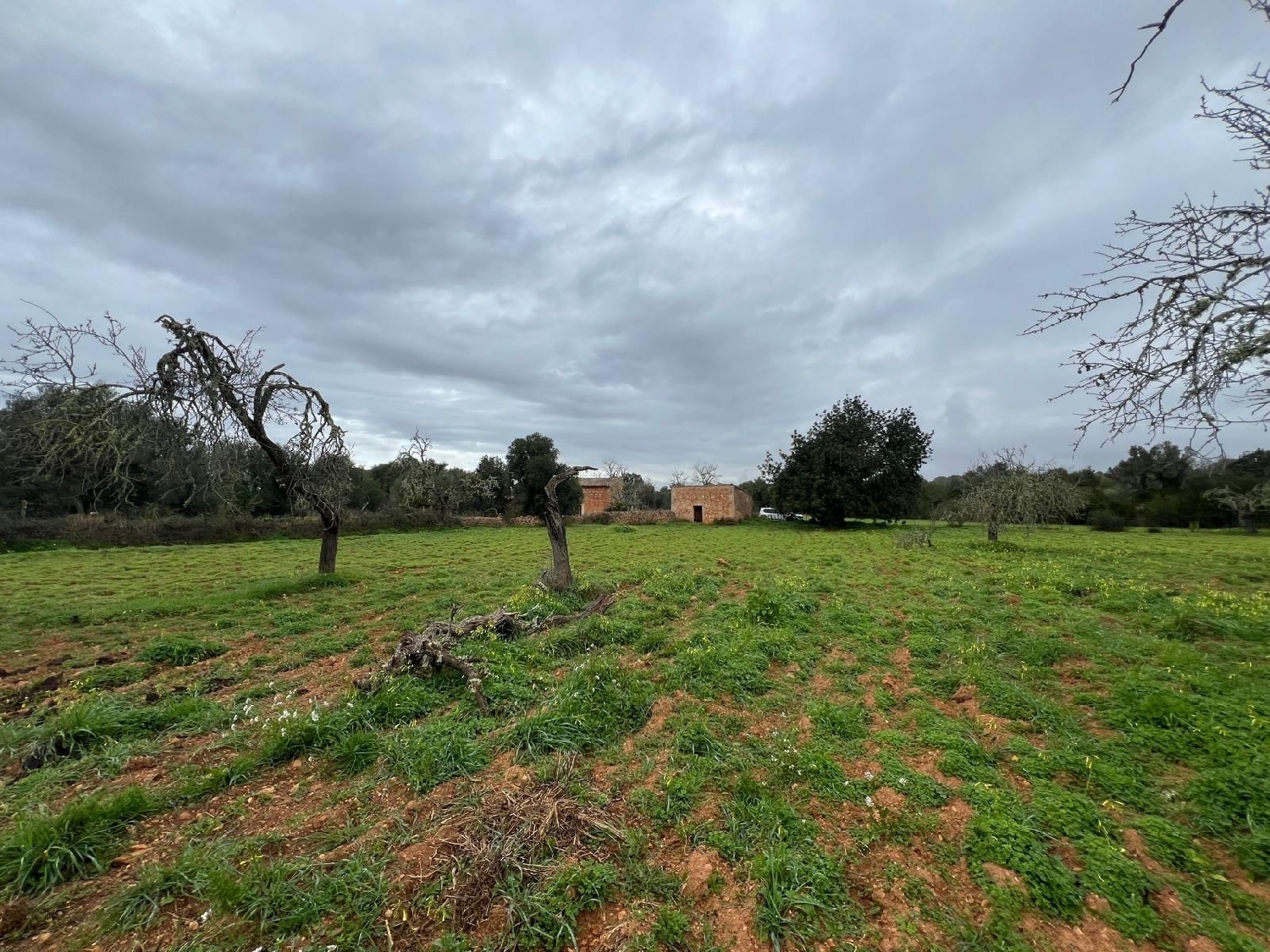  till salu hus Campos Sud 5