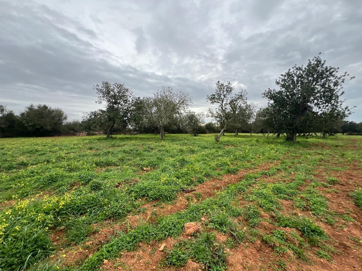  till salu hus Campos Sud 2