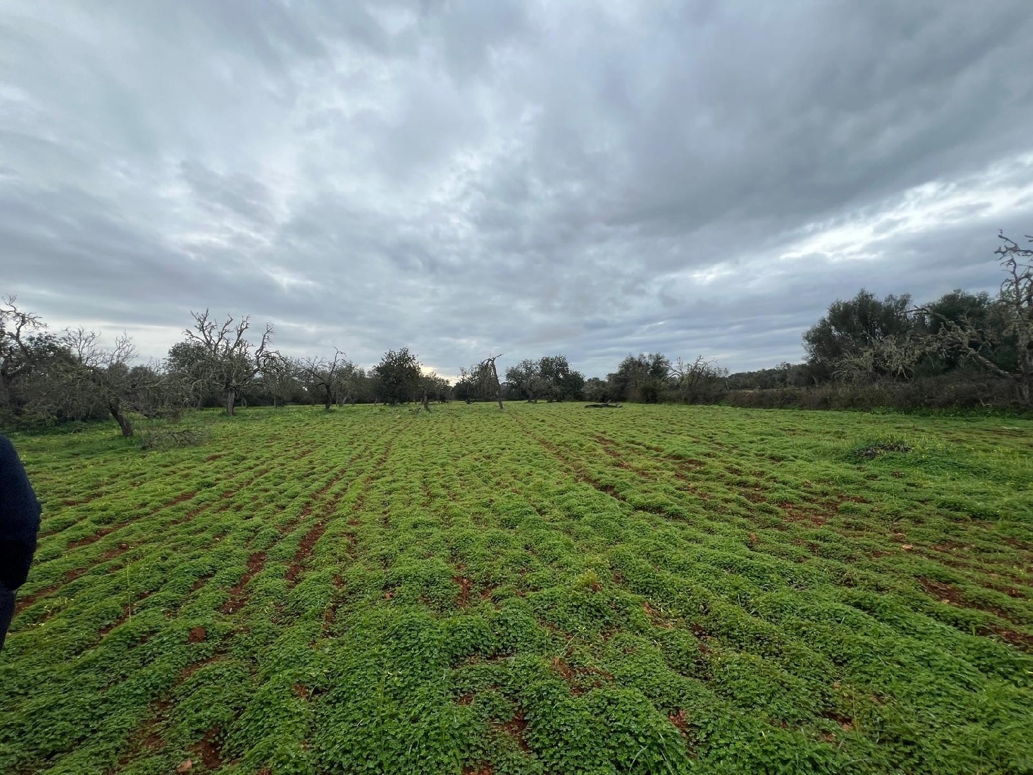  till salu hus Campos Sud 7