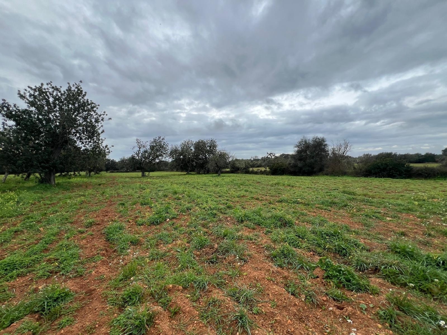  till salu hus Campos Sud 3