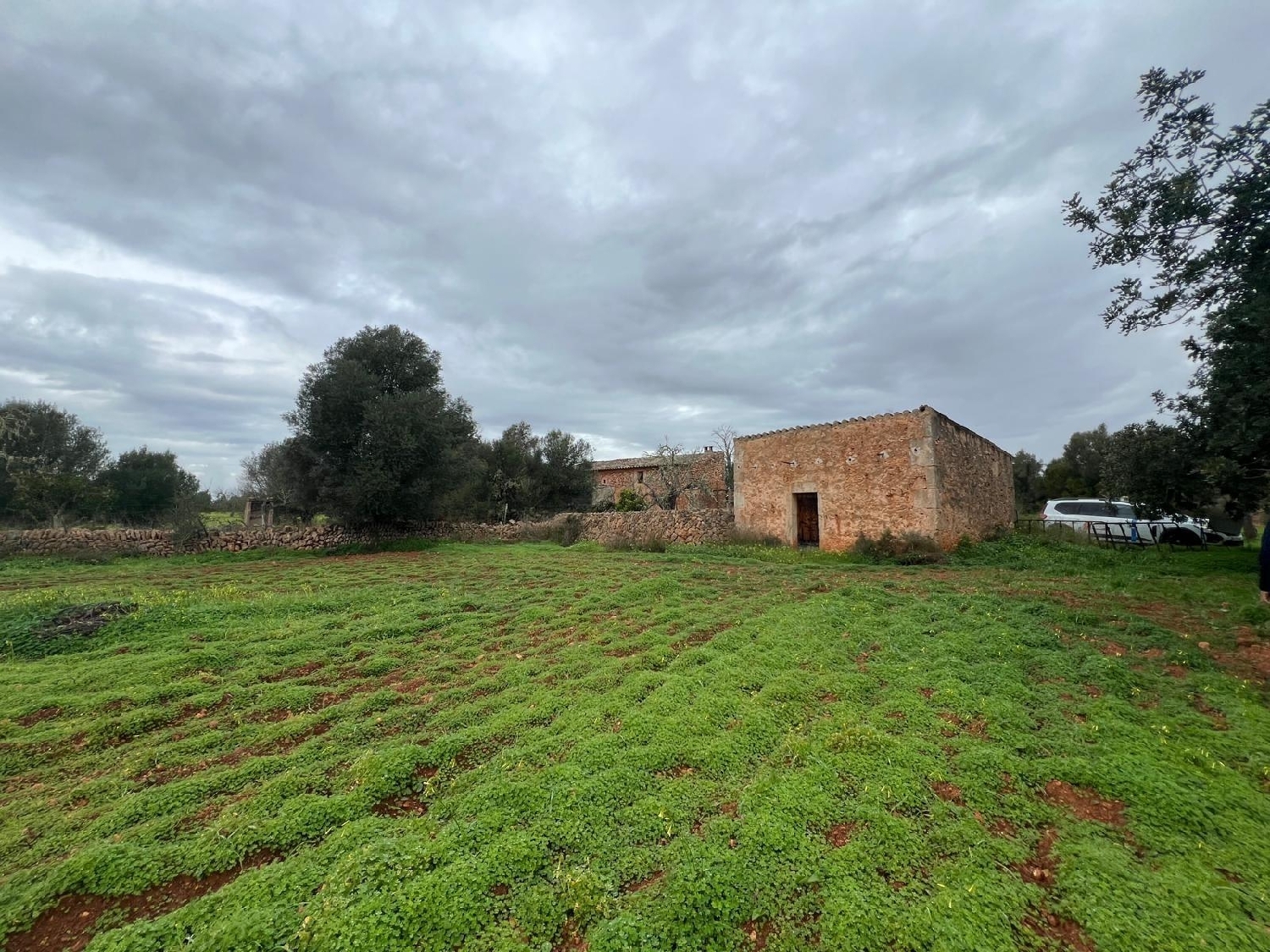  till salu hus Campos Sud 1