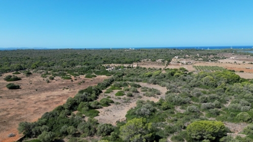 Campos Arzúa hus foto 6358805