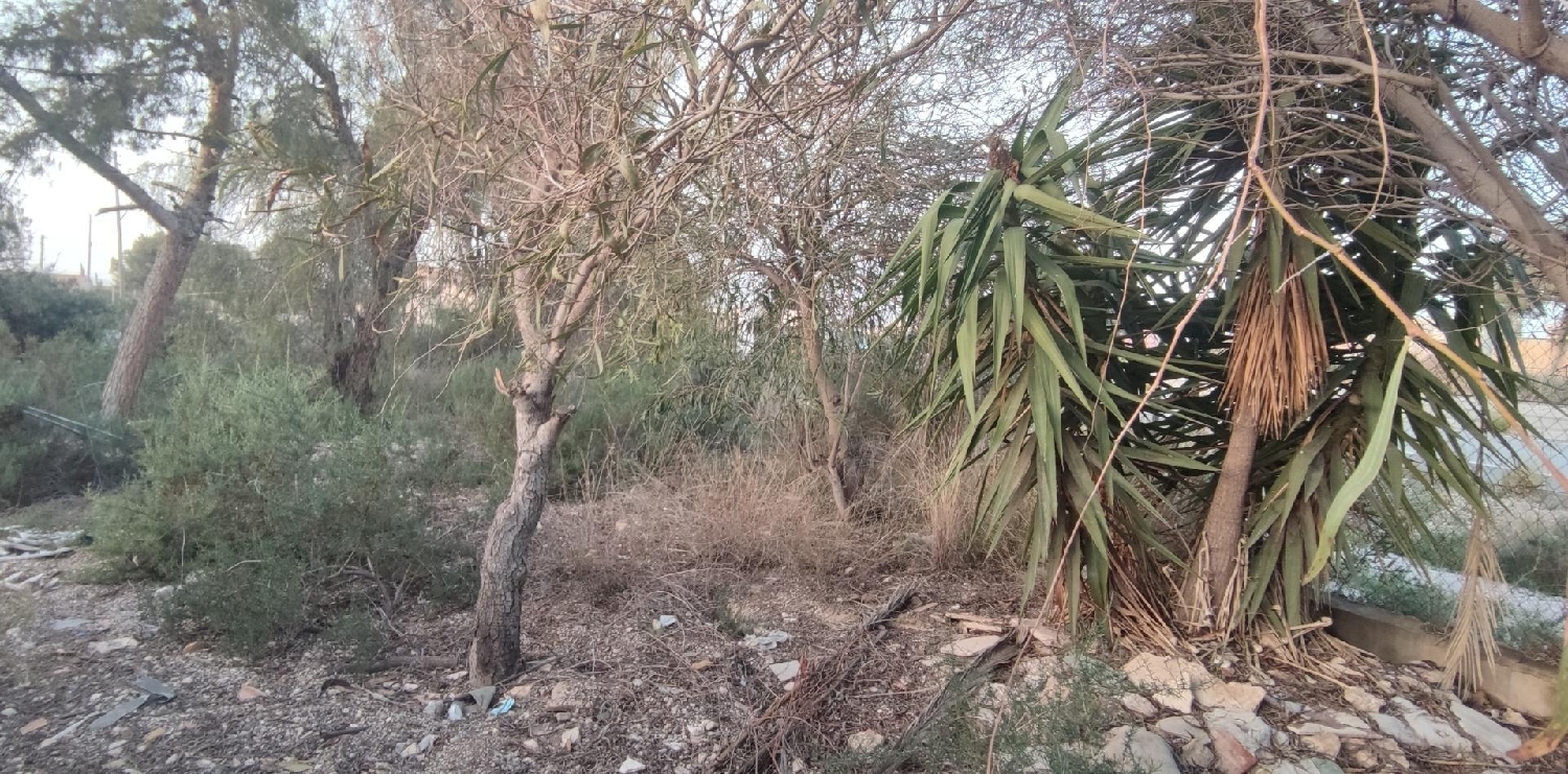  en venta casa Cheda Arzúa 5