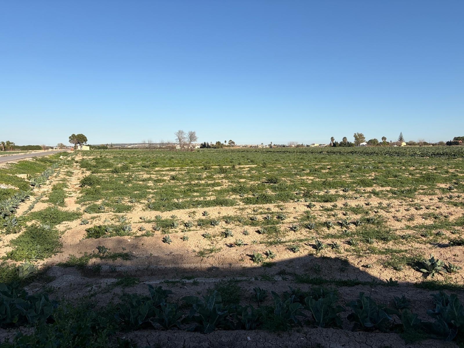  à vendre maison Dolores Baix Segura 5