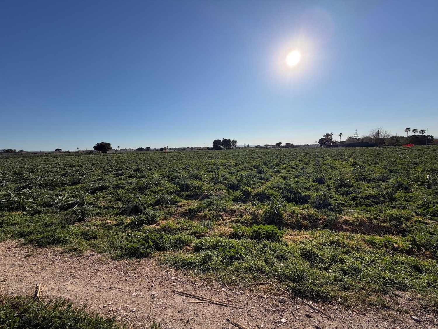  à vendre maison Dolores Baix Segura 6