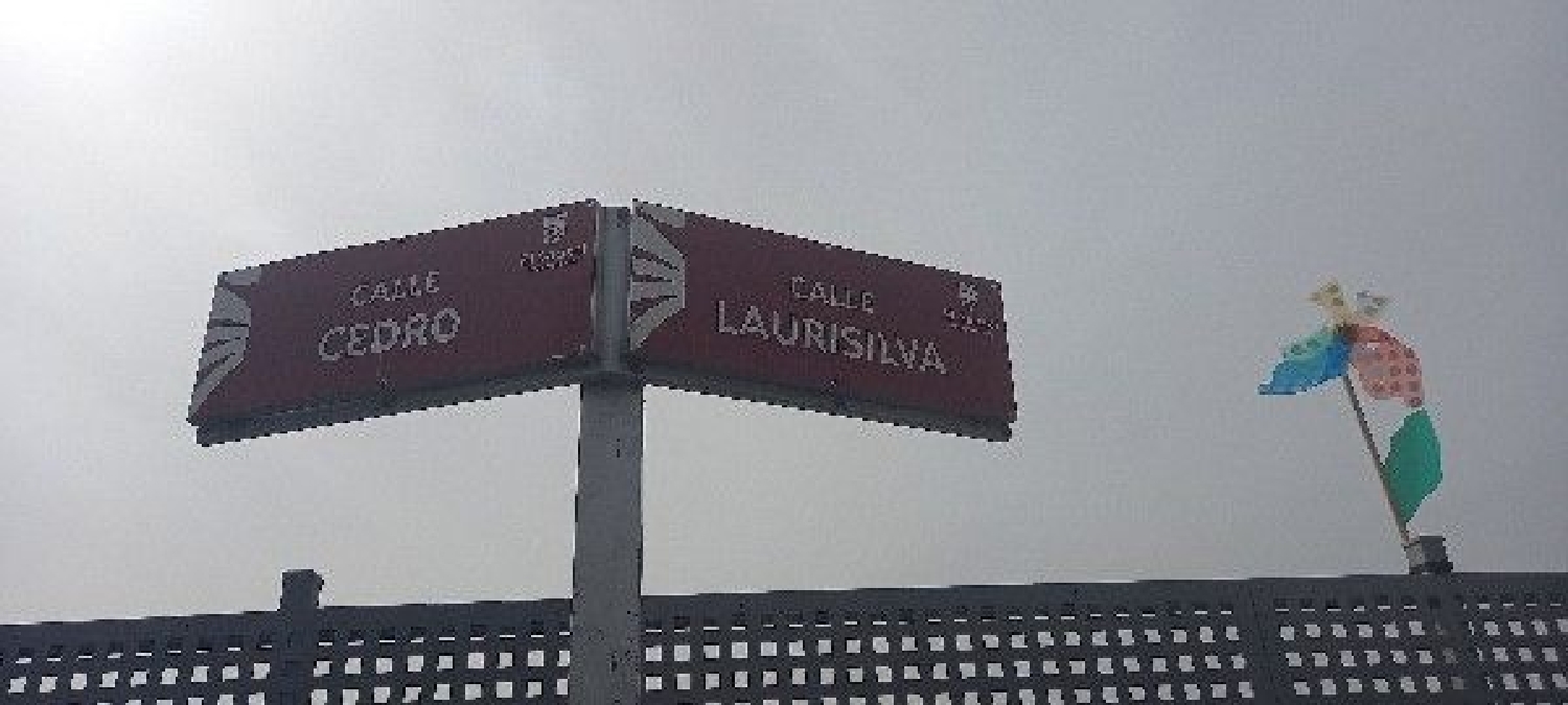  kaufen Haus El Sauzal Zona Norte 3