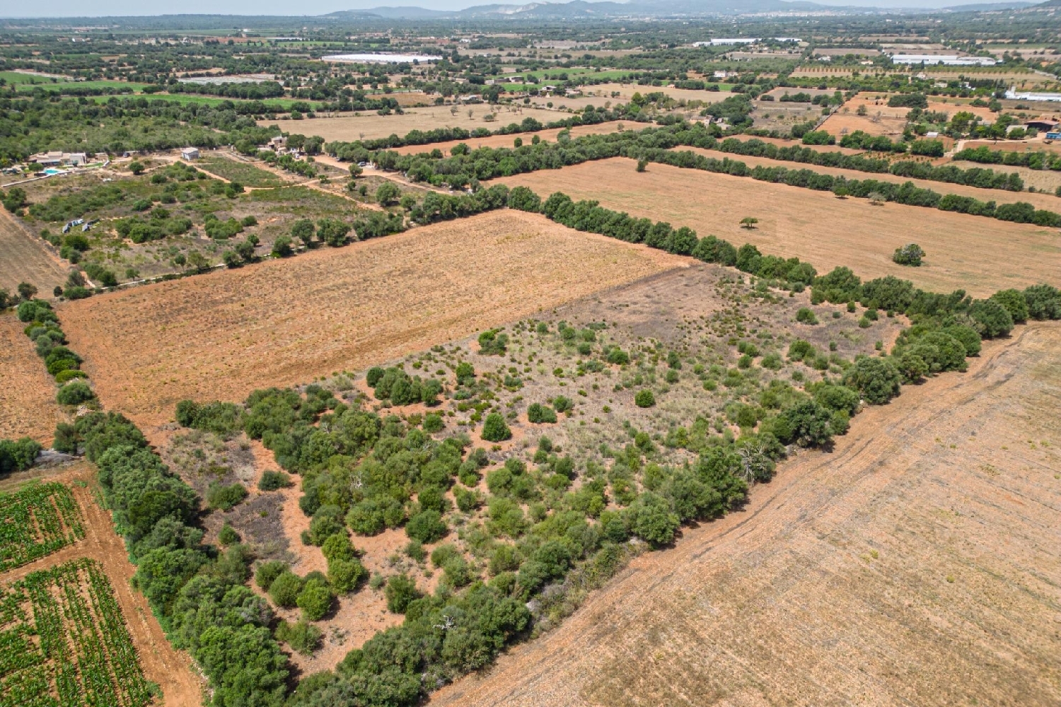  till salu hus Felanitx Sud 1