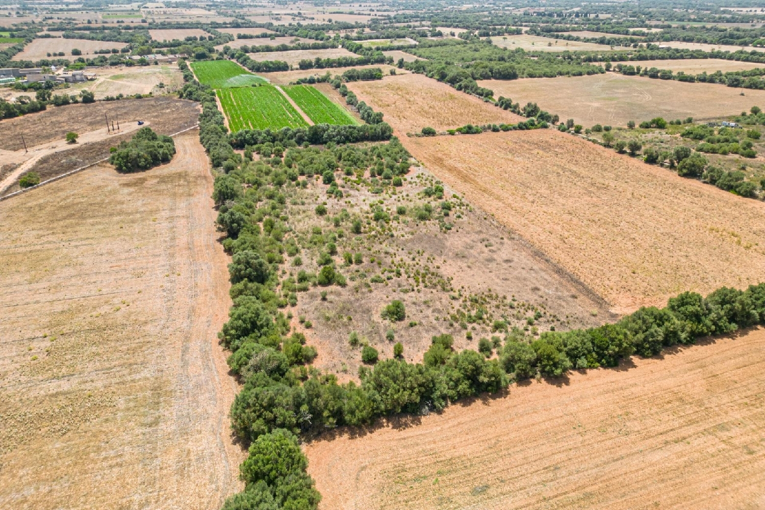  till salu hus Felanitx Sud 5