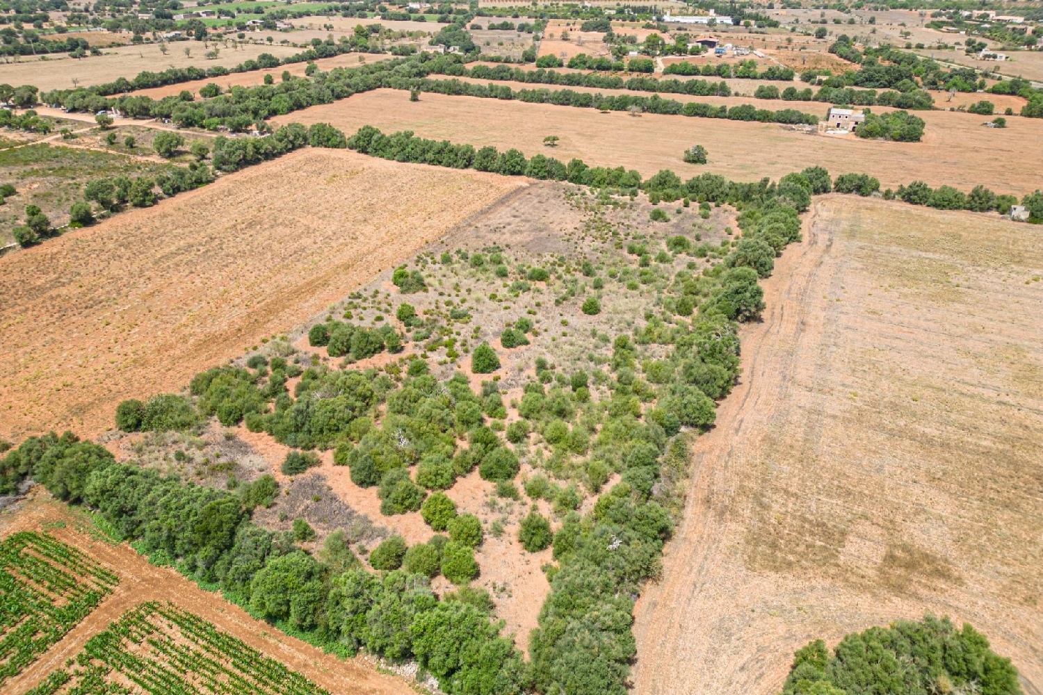  till salu hus Felanitx Sud 3