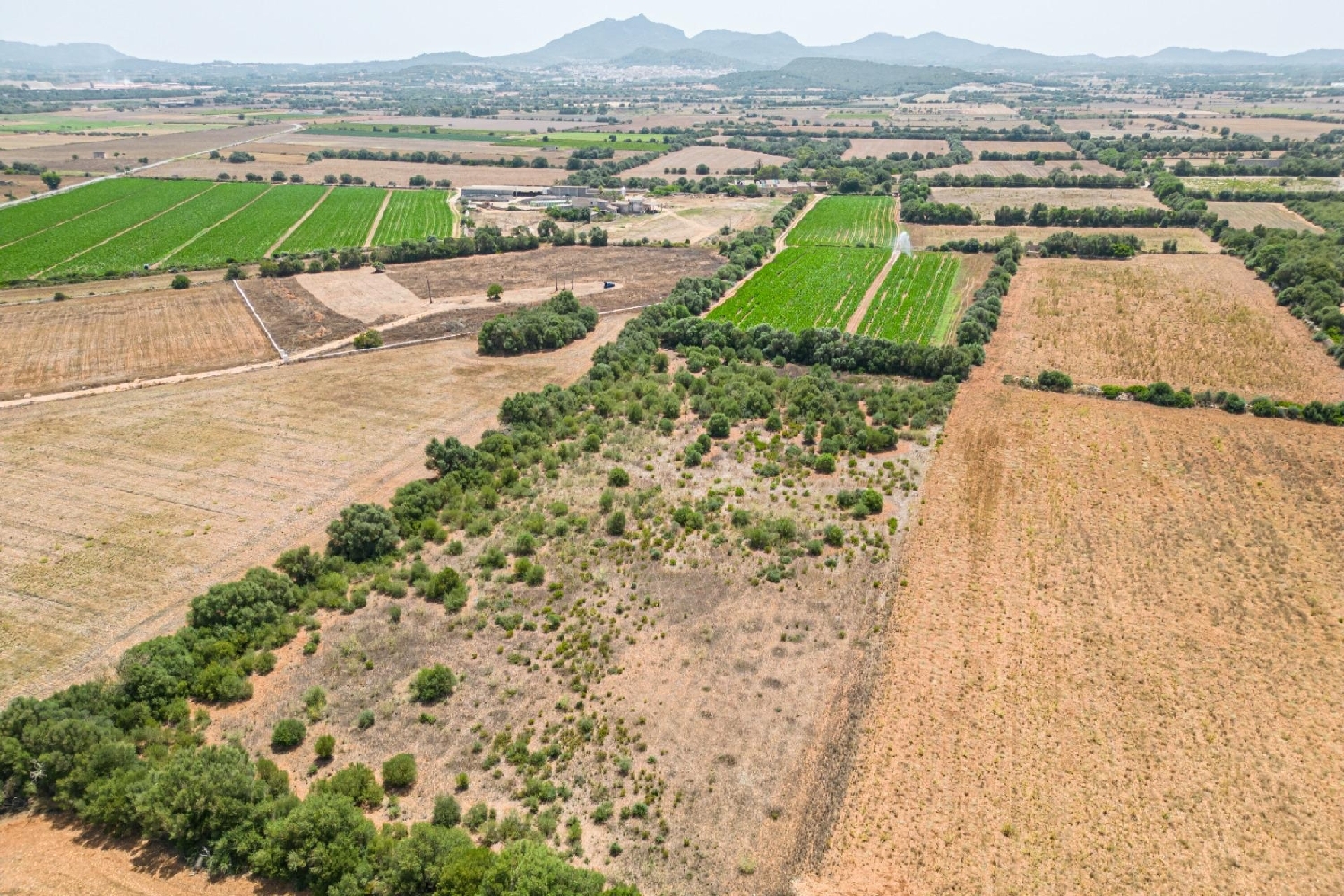  till salu hus Felanitx Sud 7