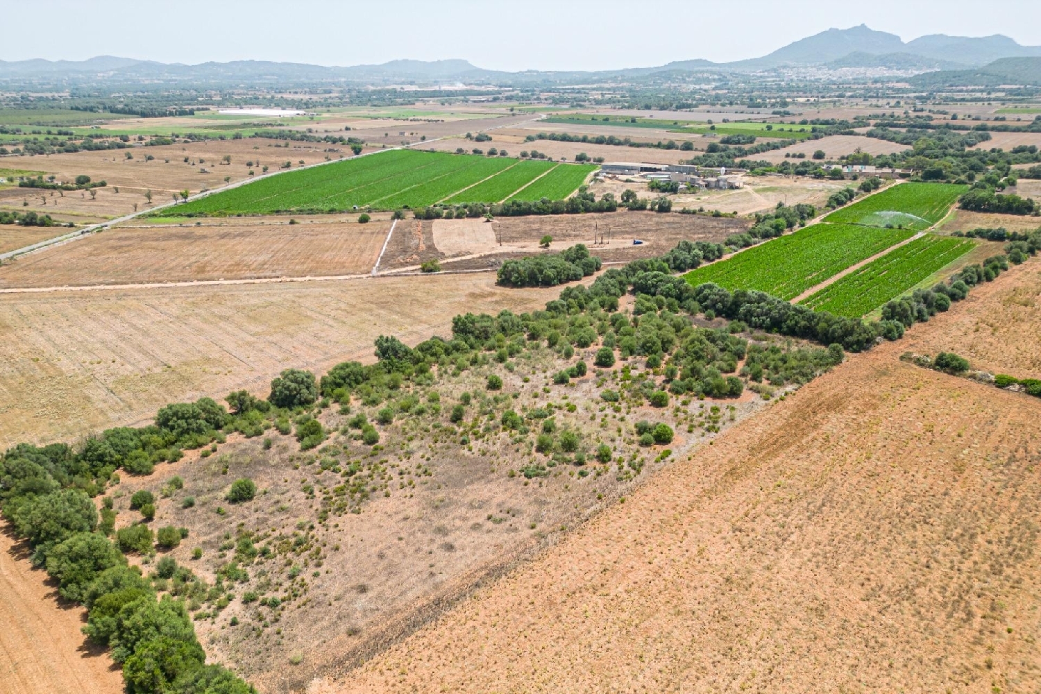  till salu hus Felanitx Sud 8