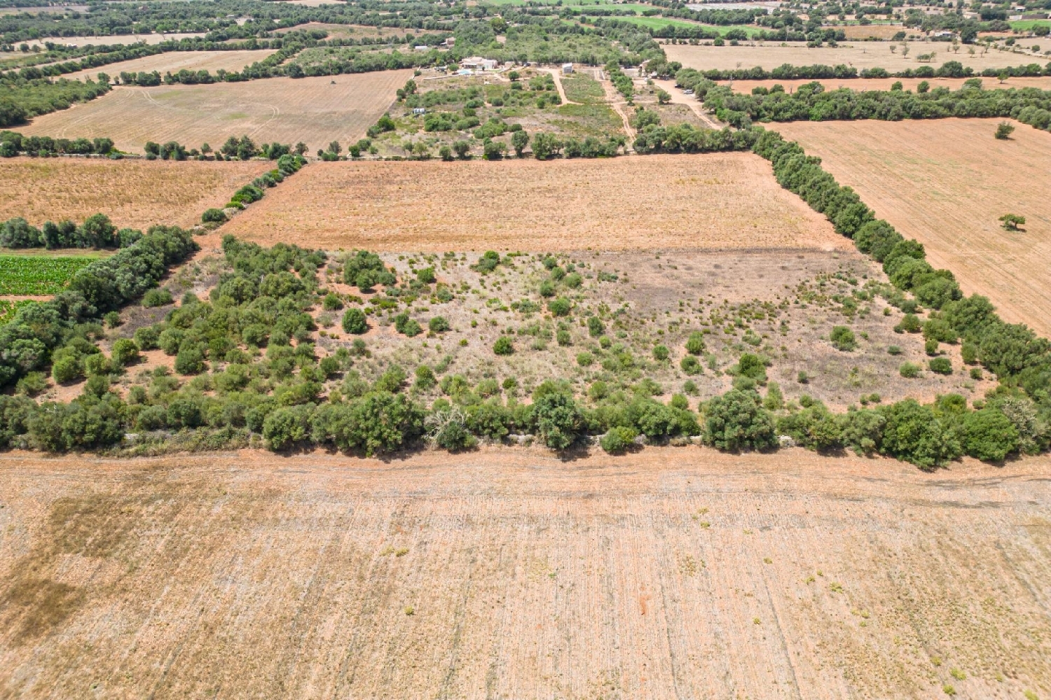  till salu hus Felanitx Sud 4