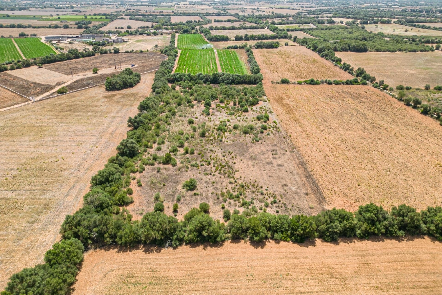  till salu hus Felanitx Sud 6