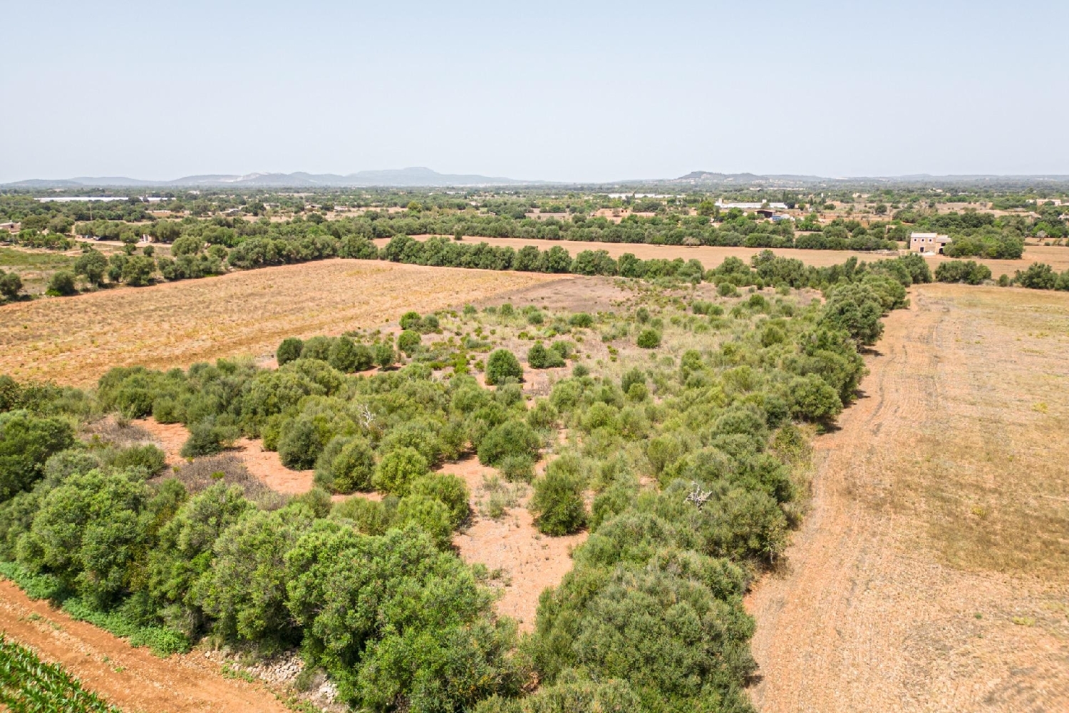  till salu hus Felanitx Sud 2