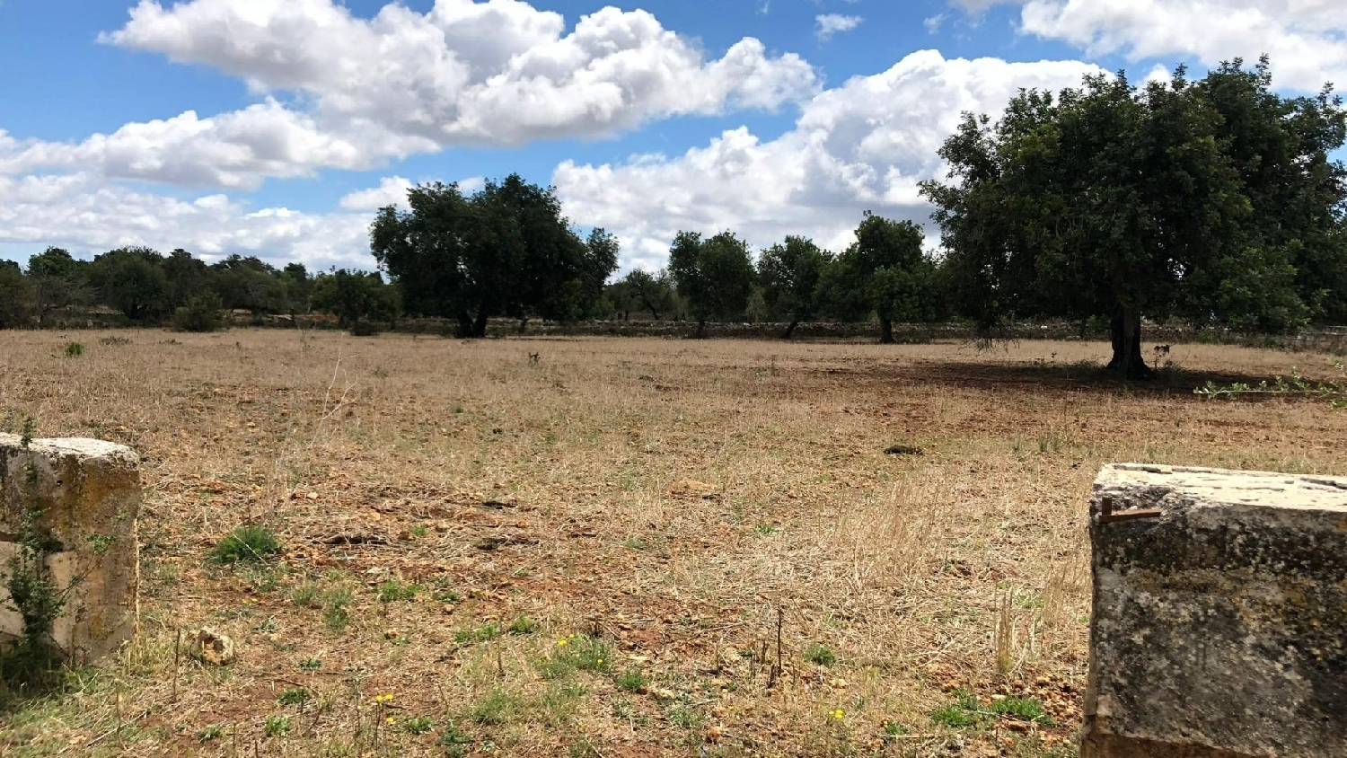  till salu hus Fincas Galicia Urb. Coruña 1