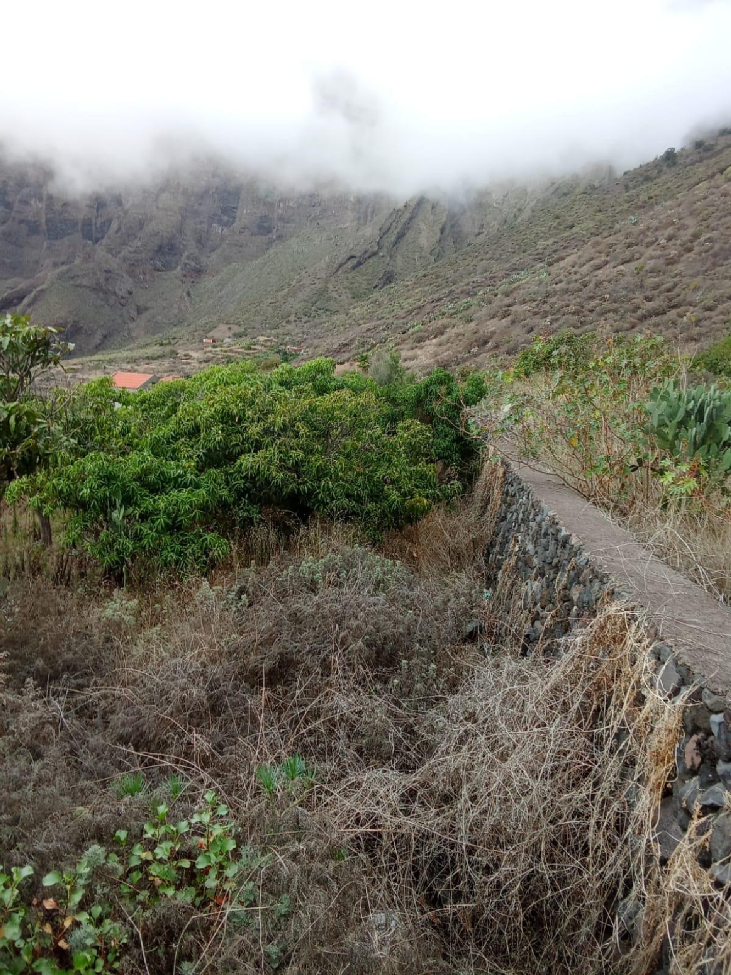  kaufen Haus Frontera Hierro (El) 5