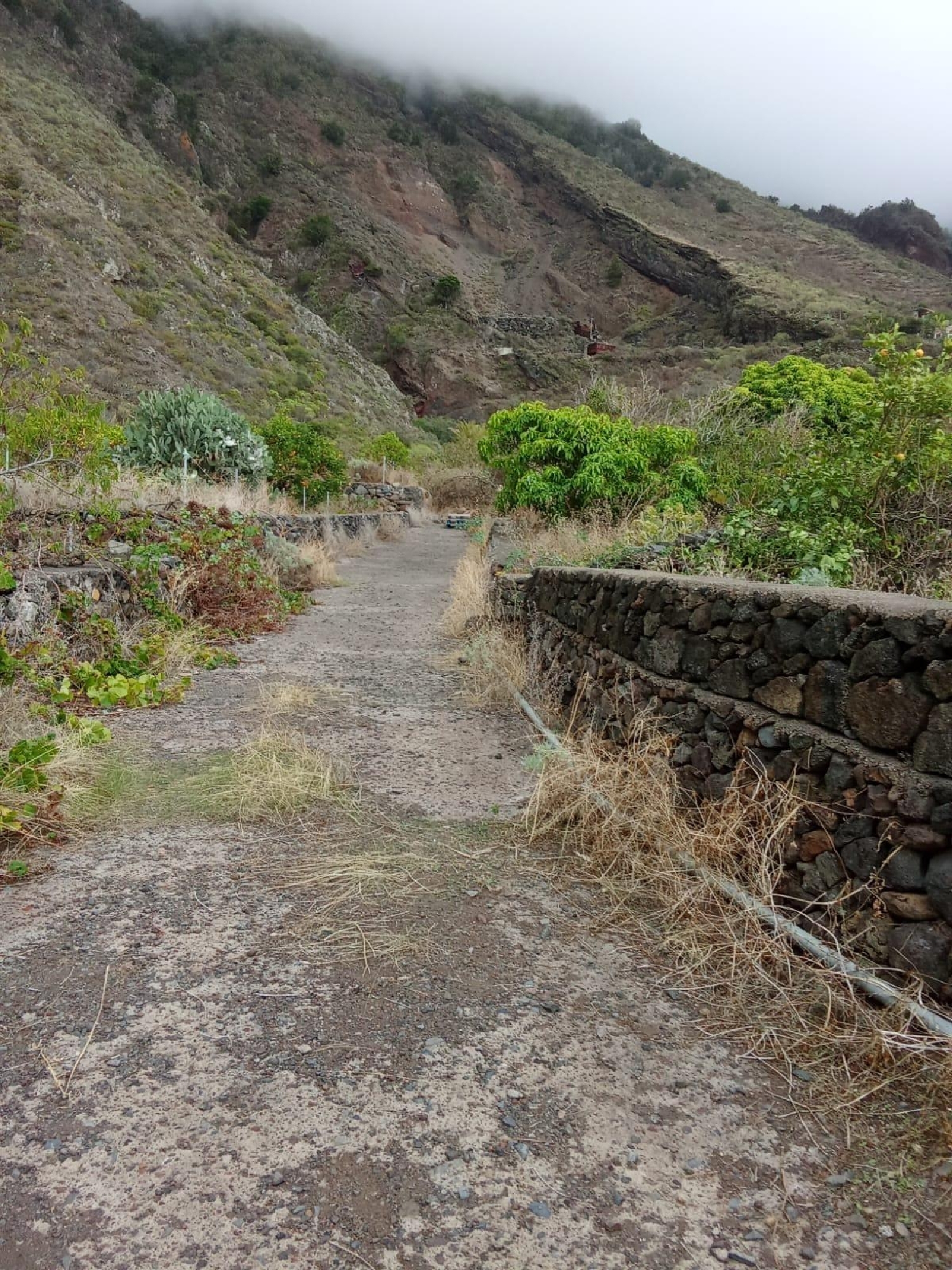  kaufen Haus Frontera Hierro (El) 3