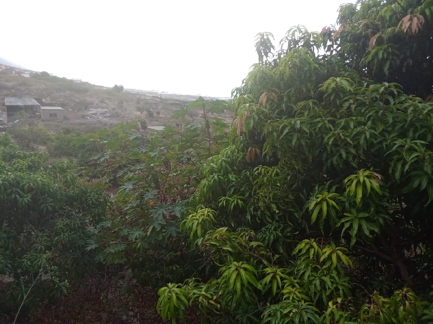  kaufen Haus Frontera Hierro (El) 2