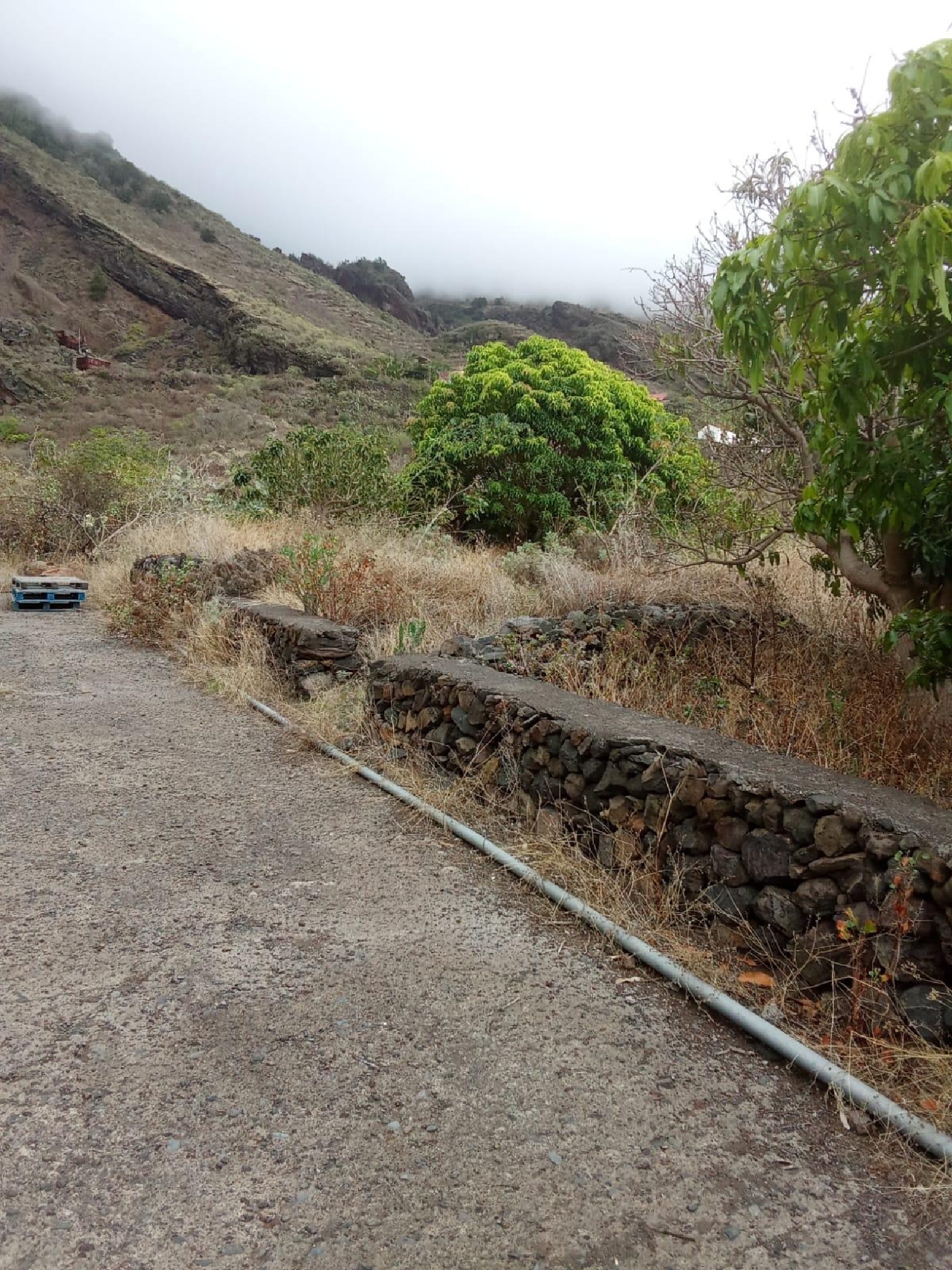  kaufen Haus Frontera Hierro (El) 4