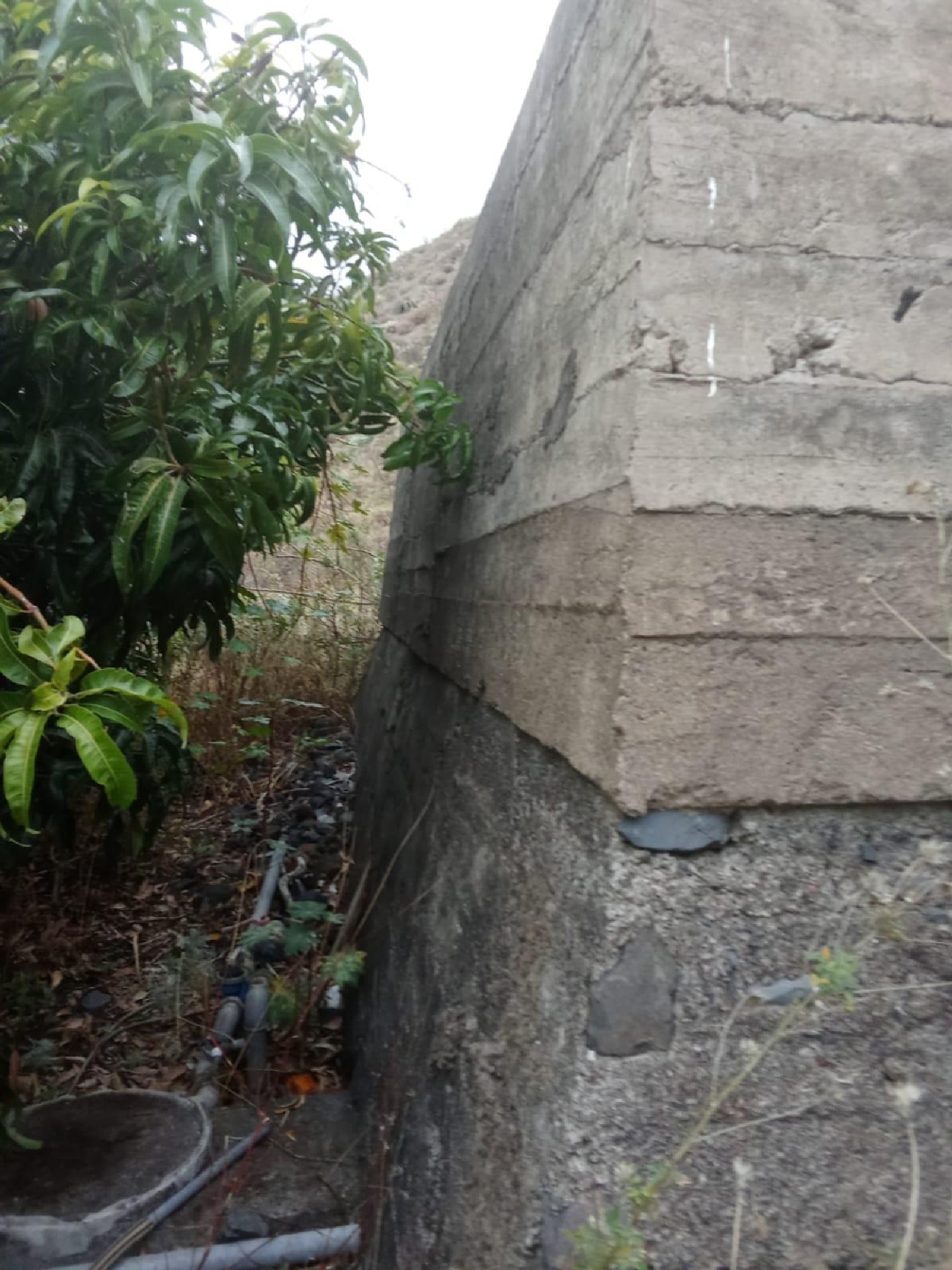  kaufen Haus Frontera Hierro (El) 6