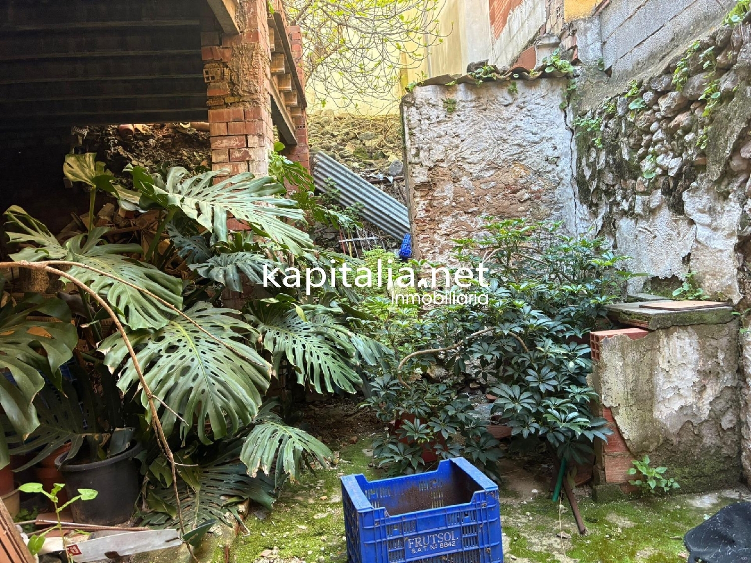  kaufen Haus Genoves Zona Norte 4