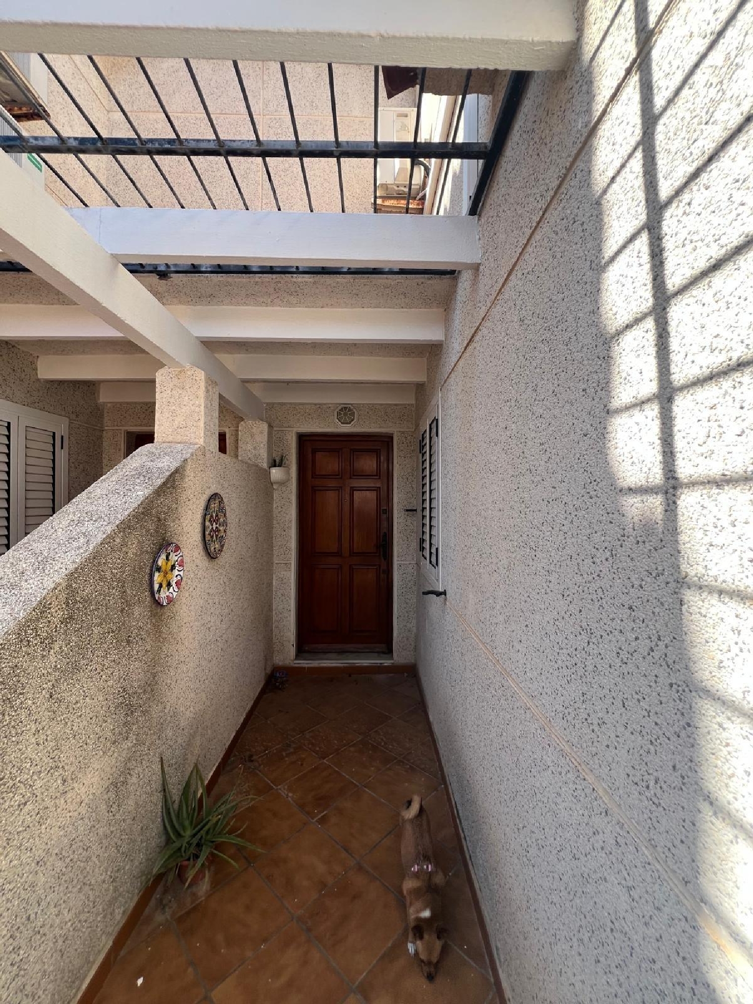  à vendre maison Guardamar Del Segura Baix Segura 8
