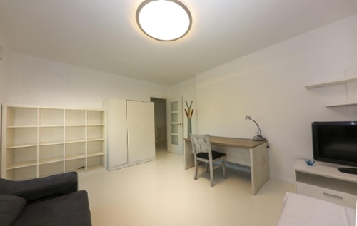 Iruña Oka Añana Haus Bild 6358661