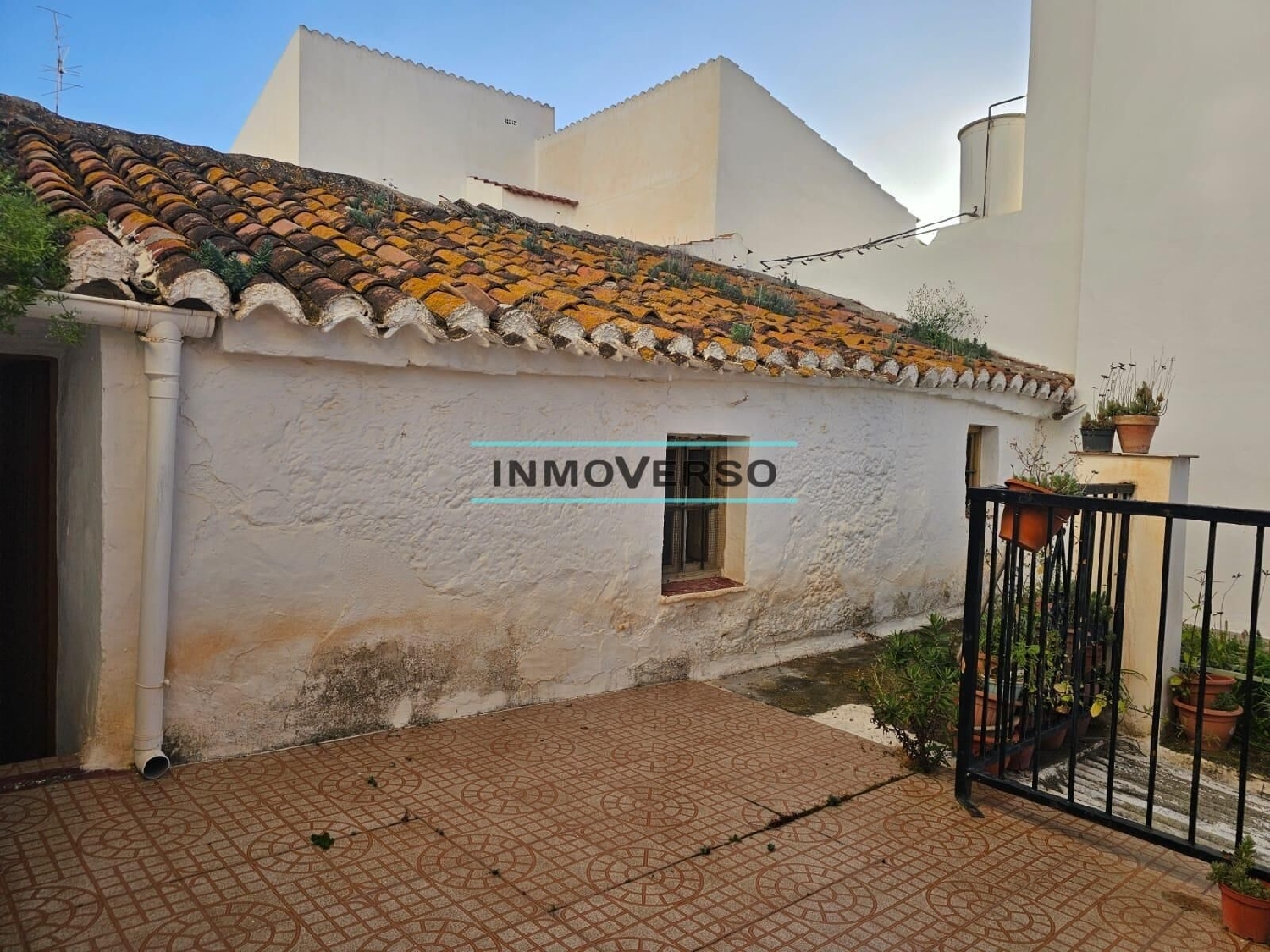  for sale house Iznate Axarquía 4