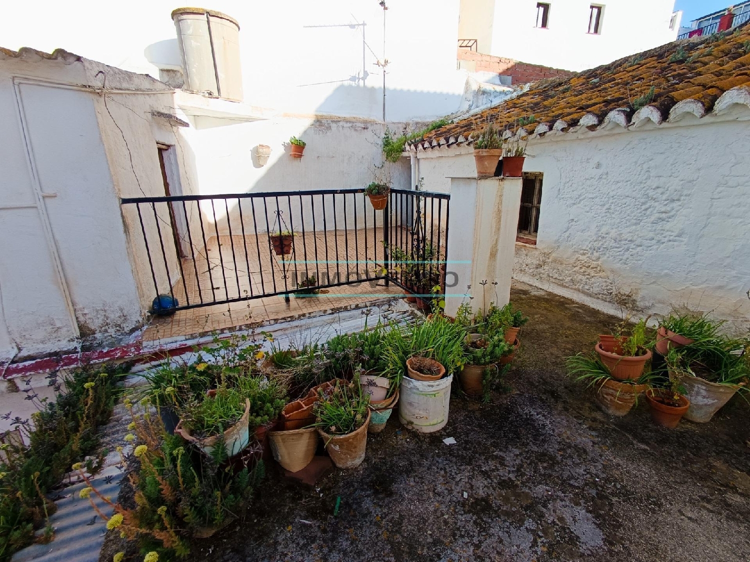  for sale house Iznate Axarquía 1