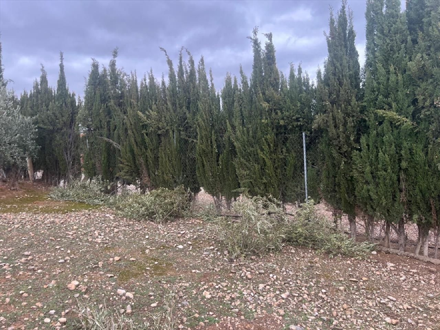  à vendre maison La Guardia De Jaén Metropolitana De Jaén 3